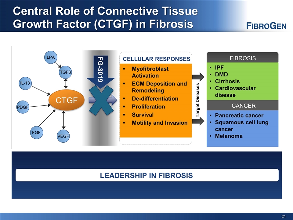 Slide 21