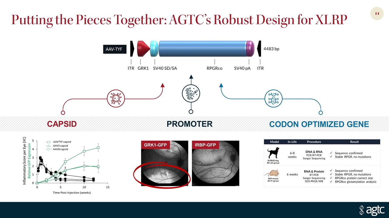 Slide 14