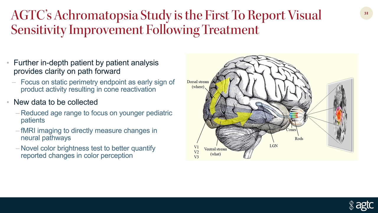 Slide 31