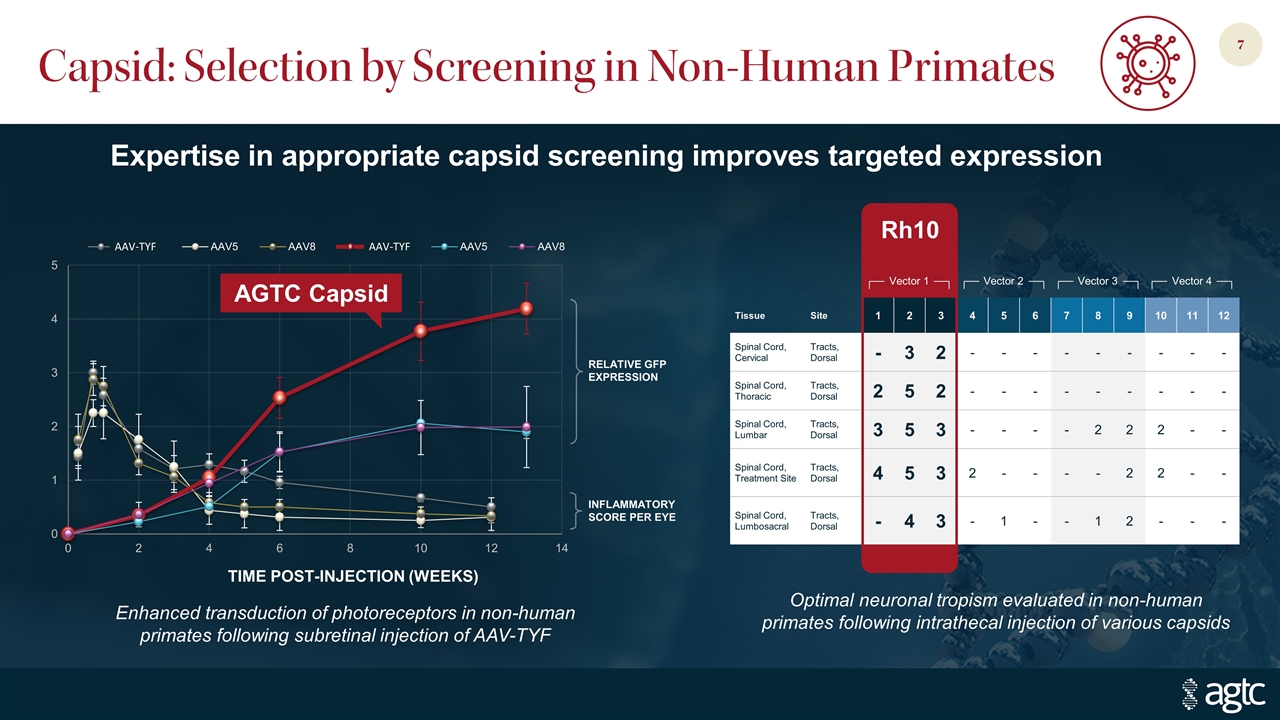 Slide 7