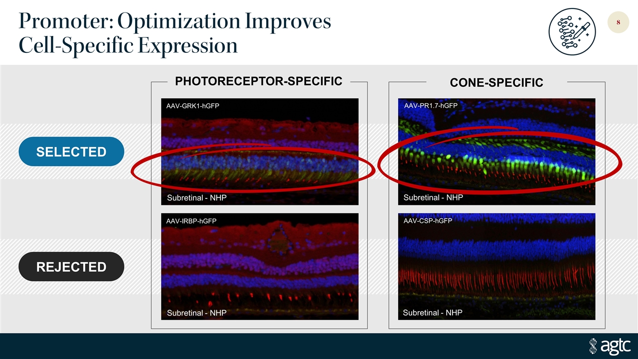 Slide 8