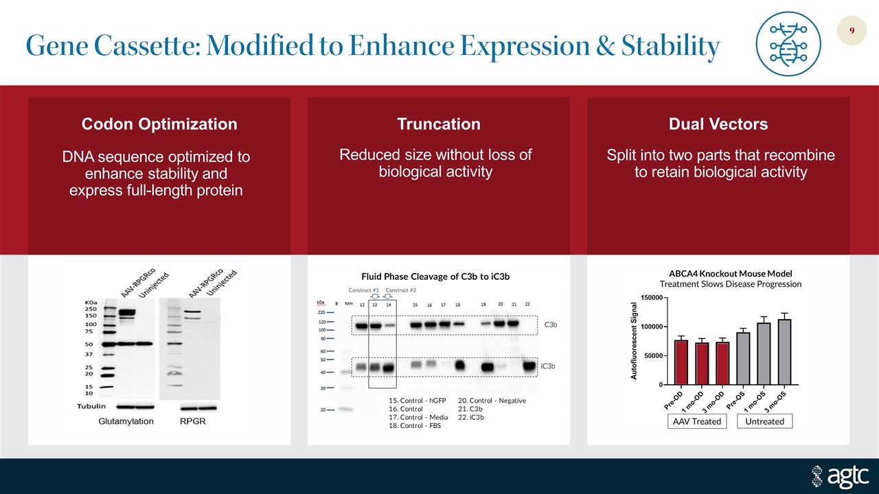 Slide 9