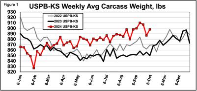 A graph of a number of cars

Description automatically generated with medium confidence
