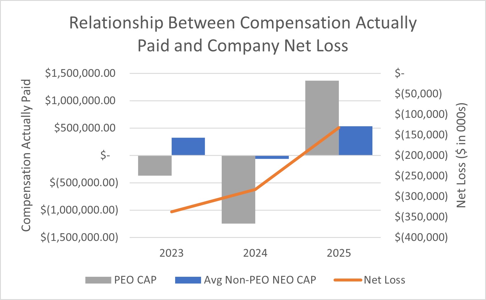 Net Loss 2025.jpg